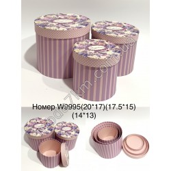 Коробка подарочная№W9995